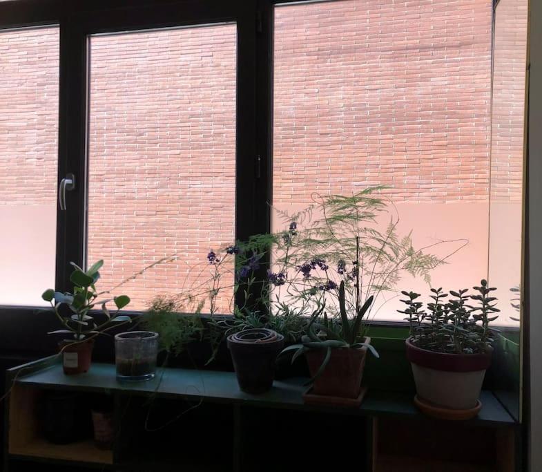 Logement De Charme Aux Carmes Toulouse Kültér fotó
